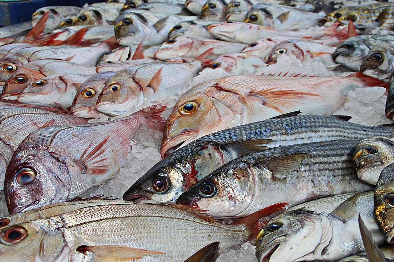 A colorful variety of fresh fish displayed on ice at a Turkish fish market.