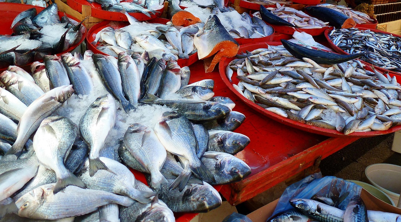 Trays of fresh seafood and fish on display at a vibrant outdoor market.