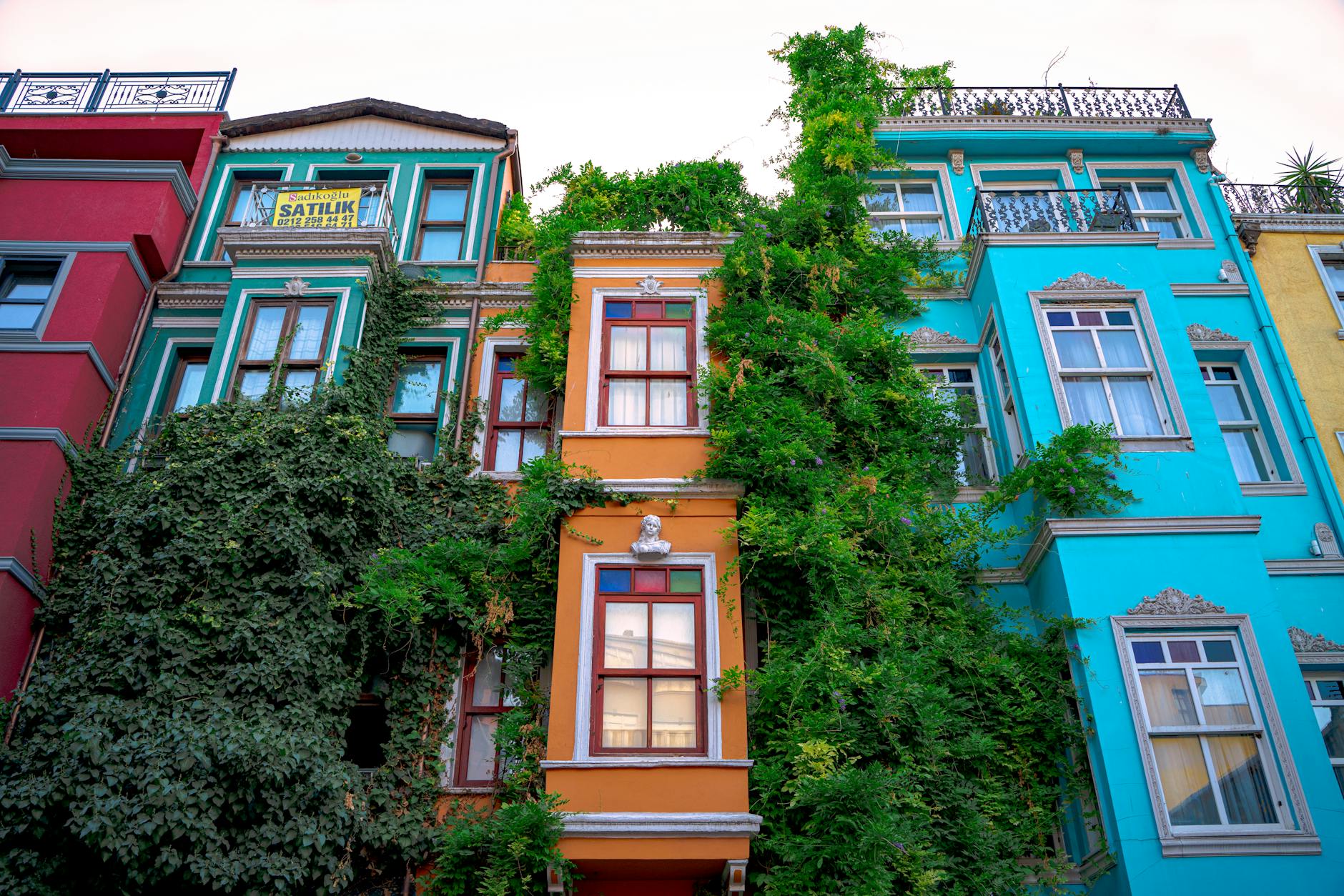 Colorful historical apartment buildings in Fener district, Istanbul, heavily covered in vibrant green ivy and vines.