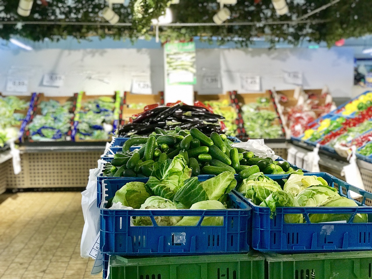 Blue crates filled with fresh green cucumbers and cabbage at a local market.