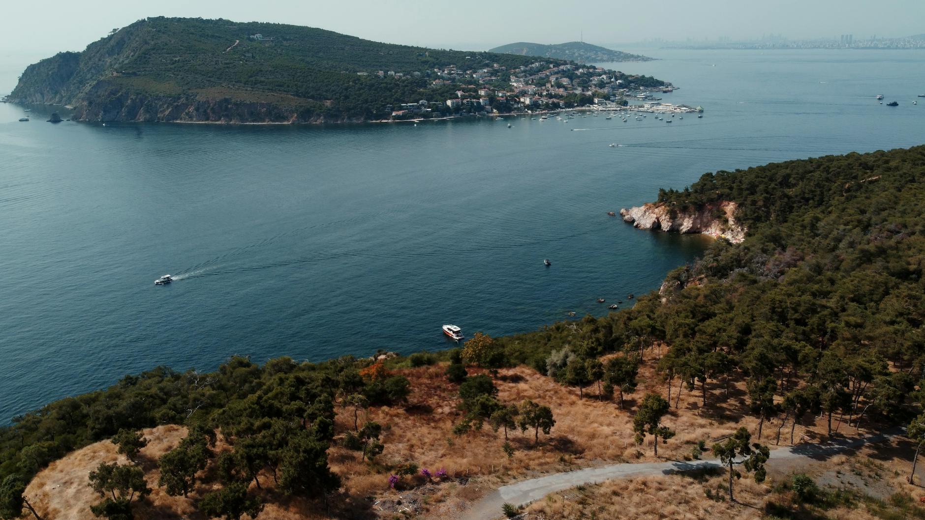 Aerial landscape of lush forest paths on Heybeliada island beside the blue Marmara Sea.