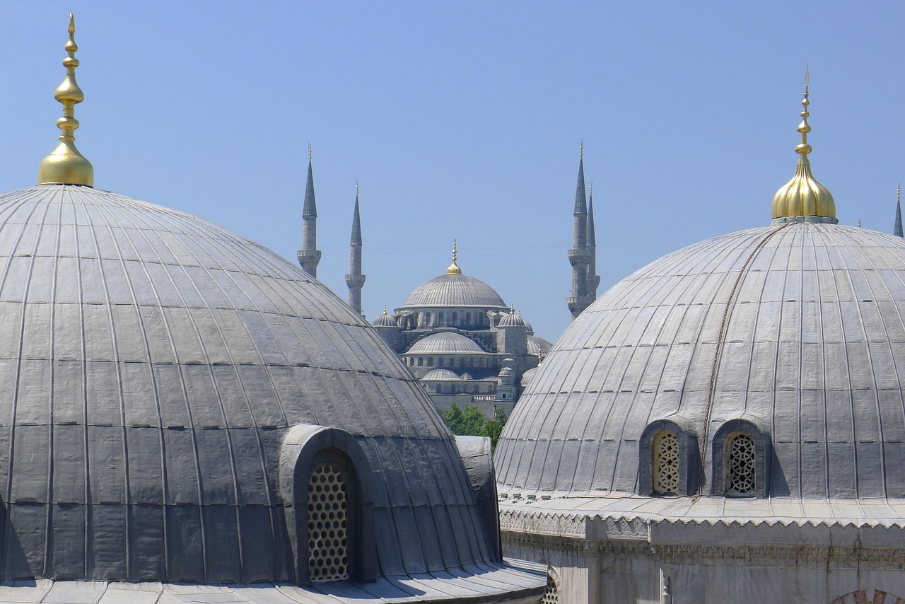 The historic domes and minarets of Istanbul's famous mosques under a clear sky.