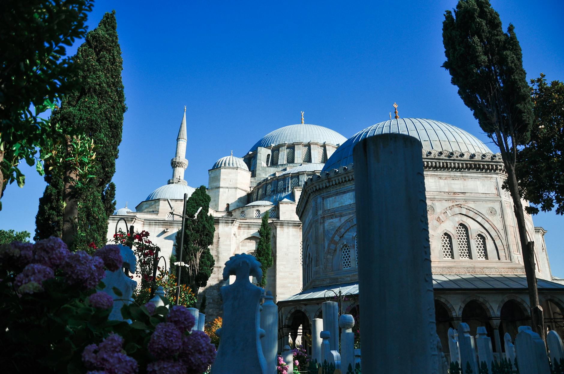 A compelling view of the Mihrimah Sultan Mosque, showcasing its grand domes and minaret against a deep blue sky, seen through the foreground of an old cemetery with distinctive Ottoman gravestones and purple hydrangeas. This angle captures the architectural beauty that makes it a favorite spot, aligning with the theme 'A Masterpiece of Light: Why the Mihrimah Sultan Mosque is My Favorite Spot at the City's Highest Point'.